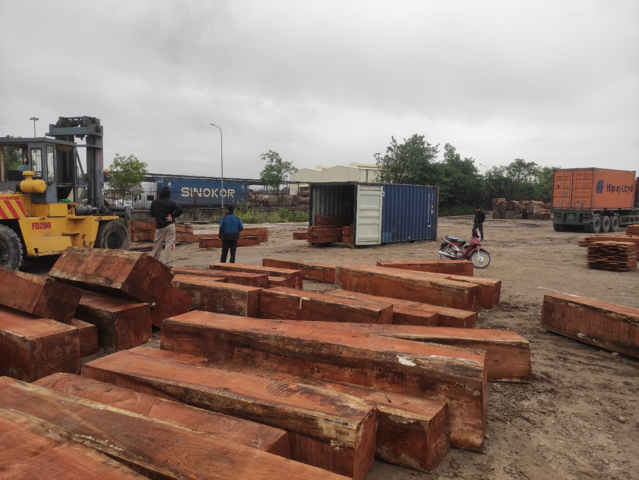 Cho thuê xe nâng kho bãi tại Hải Phòng